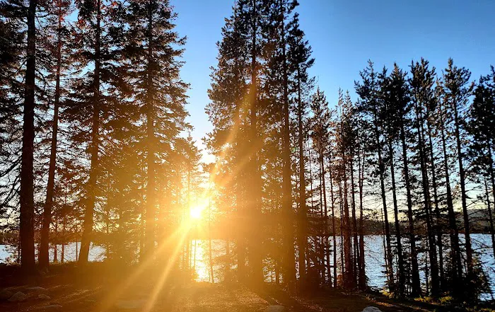 Loon Lake Campground 3
