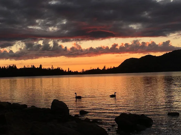 Loon Lake Campground 9