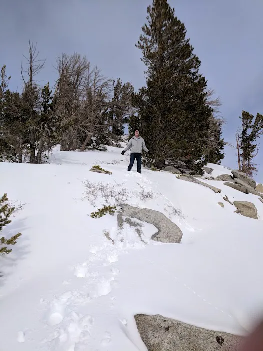 Mt. Rose Campground 7