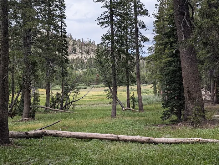 Mt. Rose Campground 6