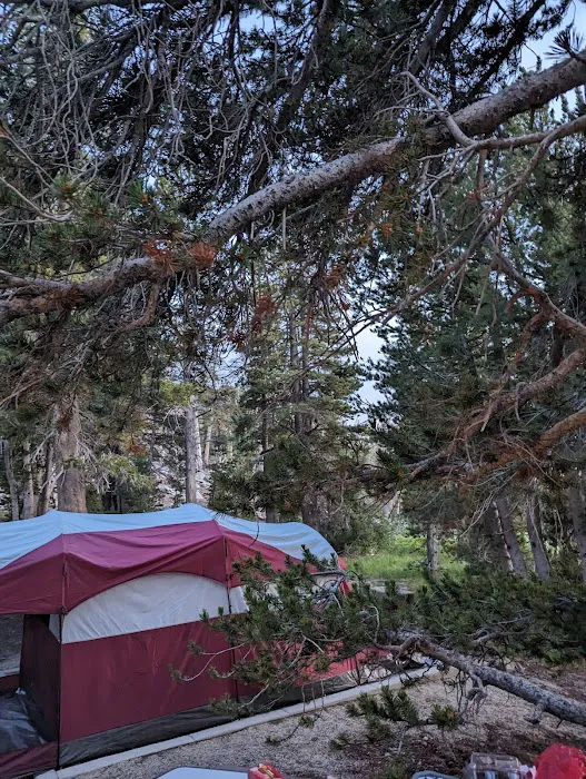 Mt. Rose Campground 3