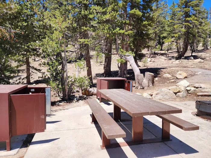 Mt. Rose Campground 2