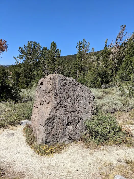 Mt. Rose Campground 9