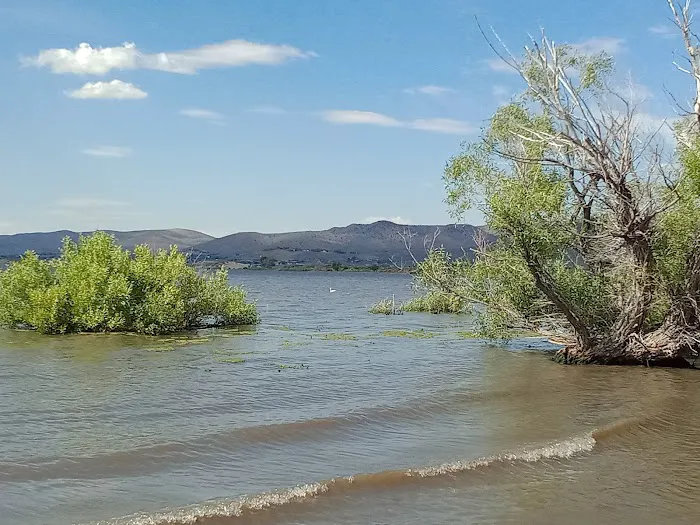 Washoe Lake State Park Campground 4
