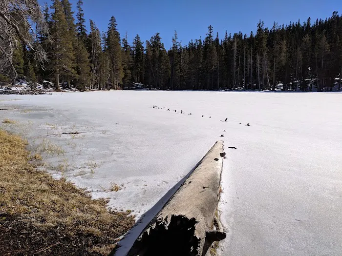 Watson Lake 9