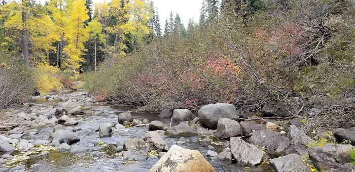 Watson Lake 8