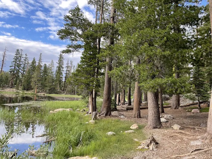 Watson Lake 1
