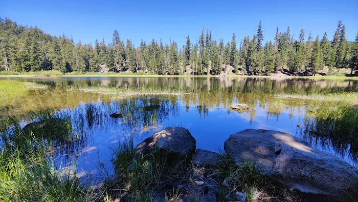 Watson Lake 4