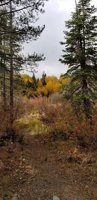 Watson Lake 7