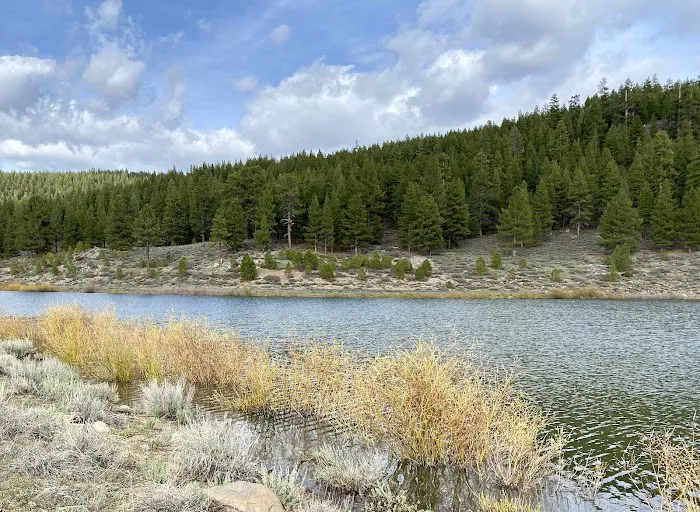 Martis Creek Dam 2