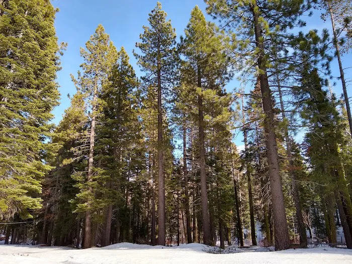 Kaspian Recreation Area 7