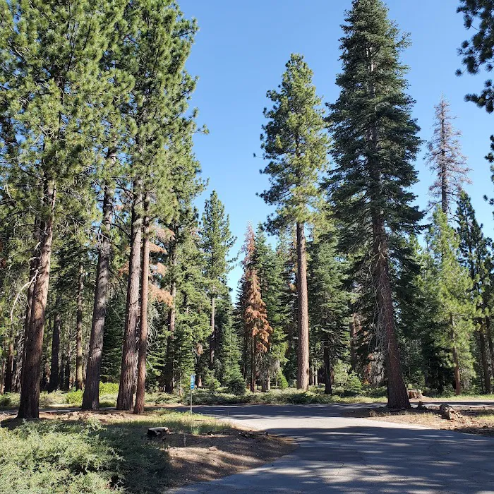 General Creek Campground 1