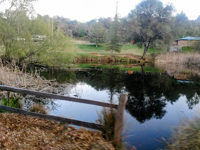 American River Resort 1