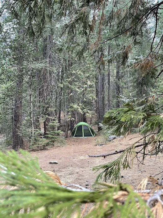 Tunnel Mills Group Campground 1