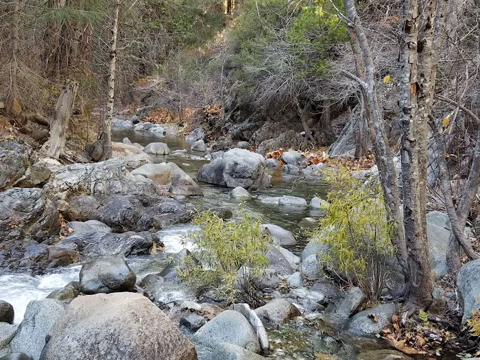 Tunnel Mills Group Campground 5