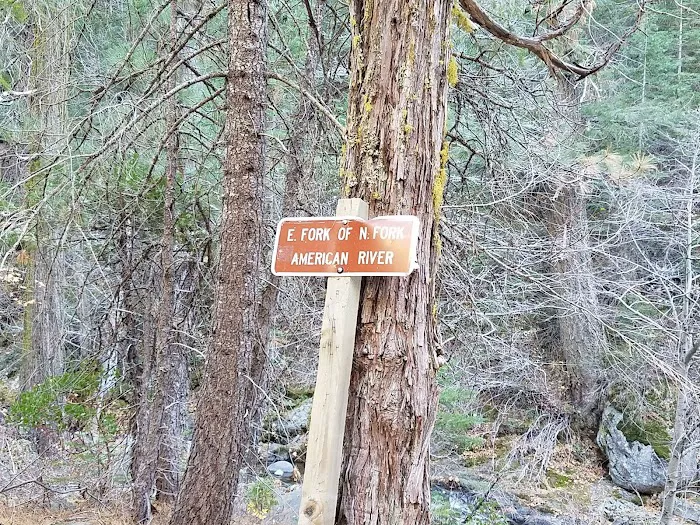 Tunnel Mills Group Campground 7