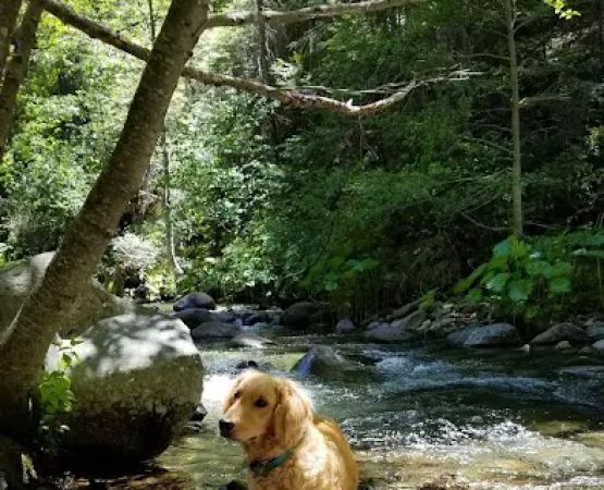 Tunnel Mills Group Campground
