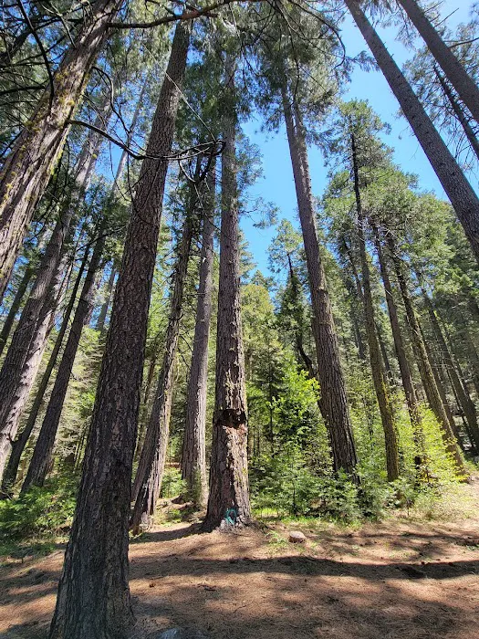 Onion Valley Campground 5