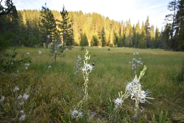 Onion Valley Campground 3