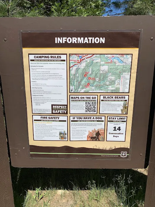 Onion Valley Campground 9