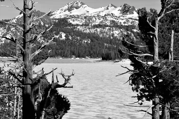 Caples Lake Campground 4