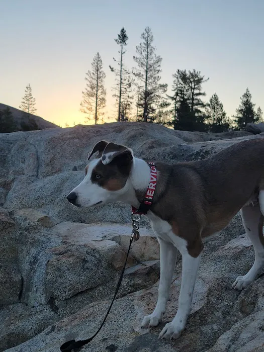 Caples Lake Campground 0