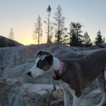 Caples Lake Campground