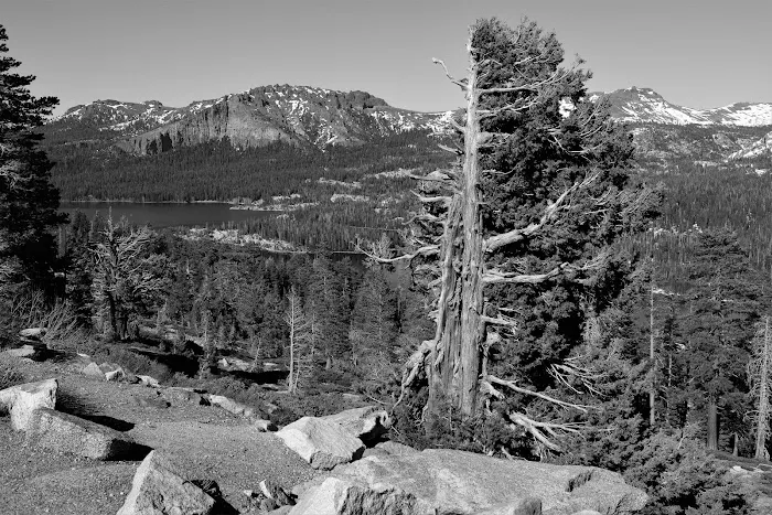 Caples Lake Campground 3