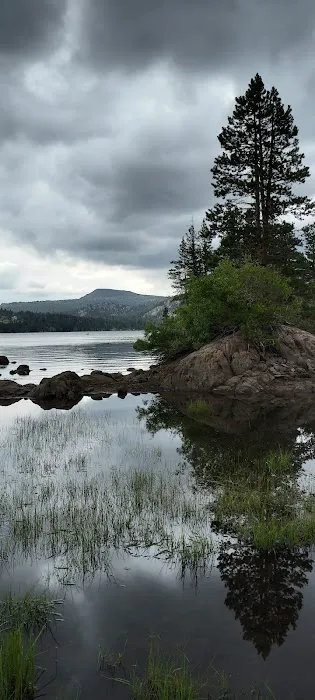 Caples Lake Campground 9