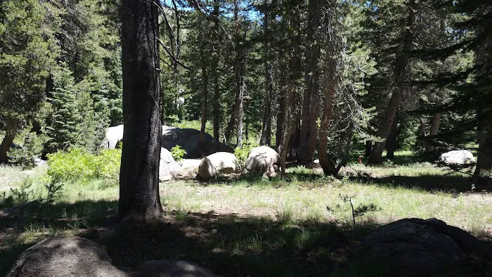Damsite Campground 1