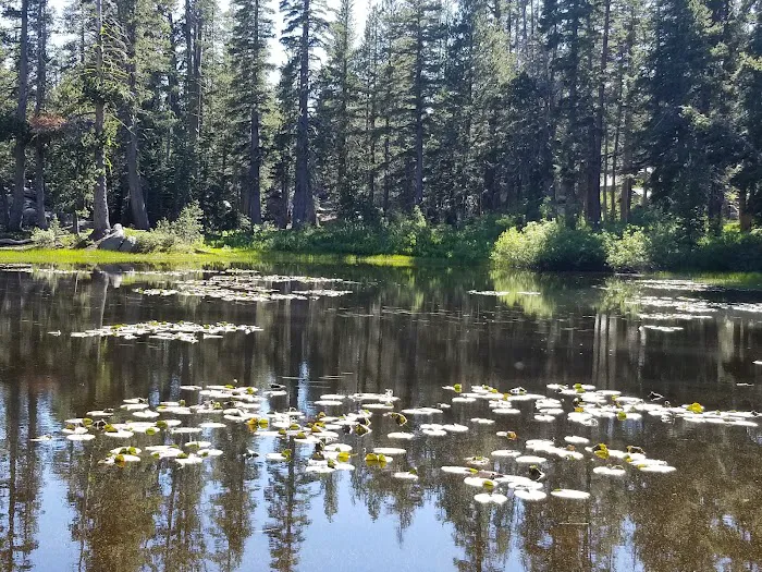 Damsite Campground 6