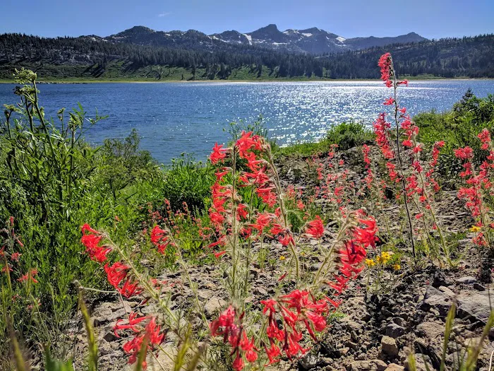 Damsite Campground 8
