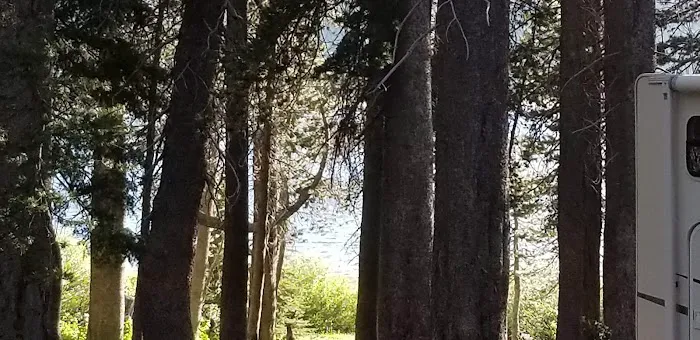 Damsite Campground 7