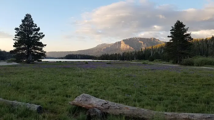 Silver Lake Stockton Camp 5