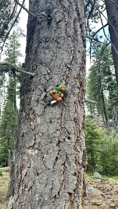 Luther Campground 3