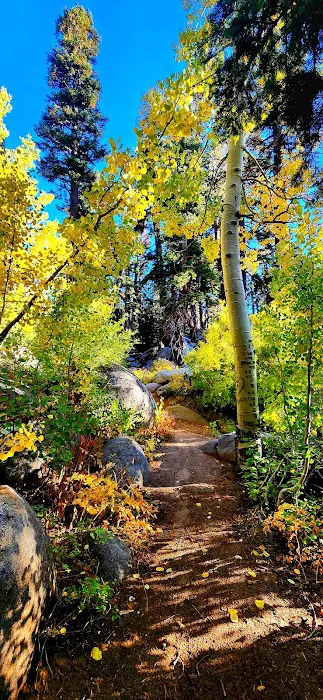Luther Campground 0