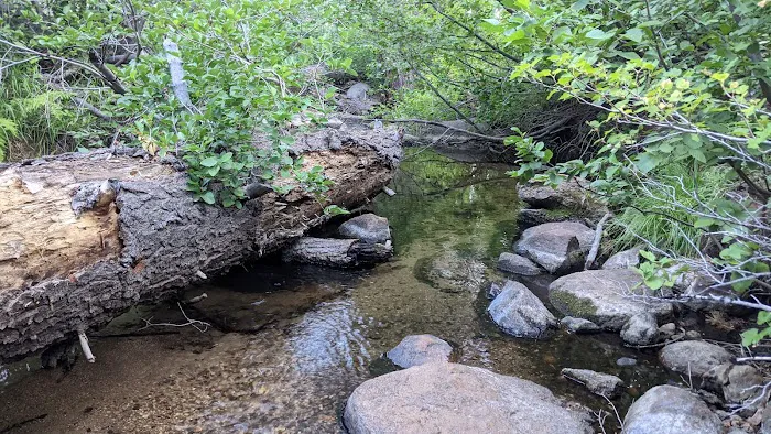 Luther Campground 6