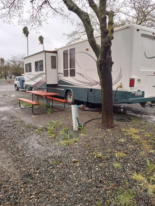 Yolo County Fairgrounds RV Park 1