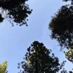 Cottonwood Creek Campground