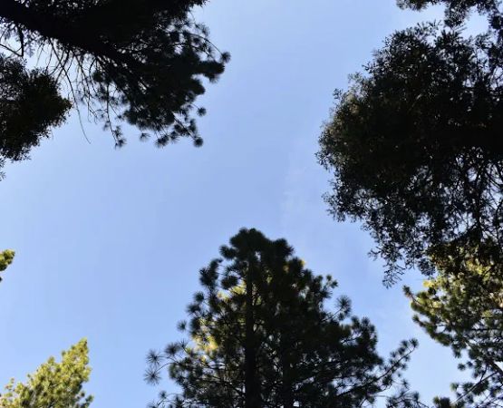 Cottonwood Creek Campground