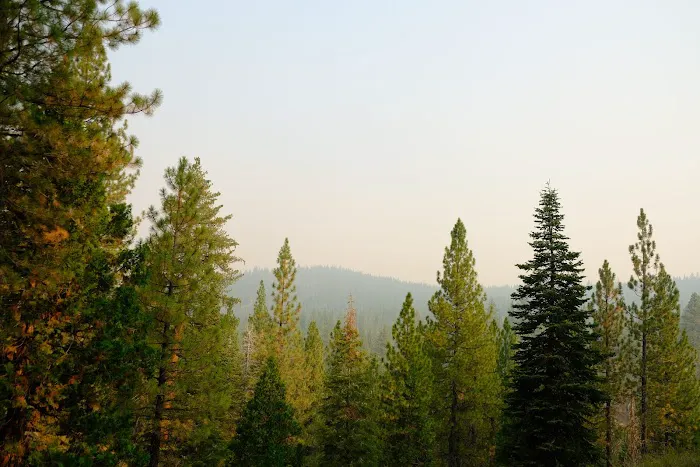 Cottonwood Creek Campground 8