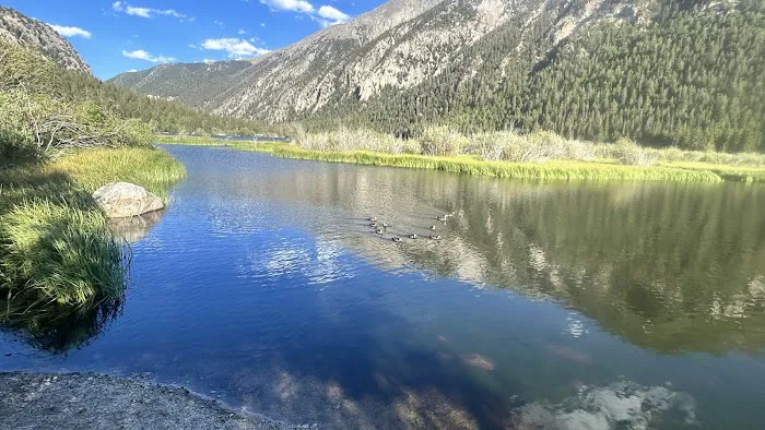 Cottonwood Creek Campground 6