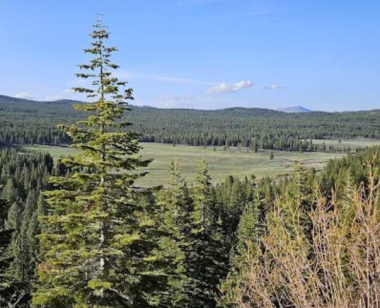 Lake of the Woods Campground