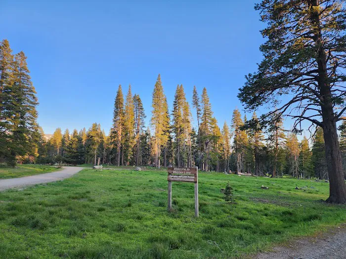 Webber Lake Campground 7