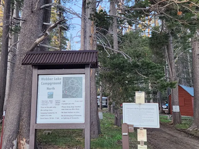 Webber Lake Campground 5