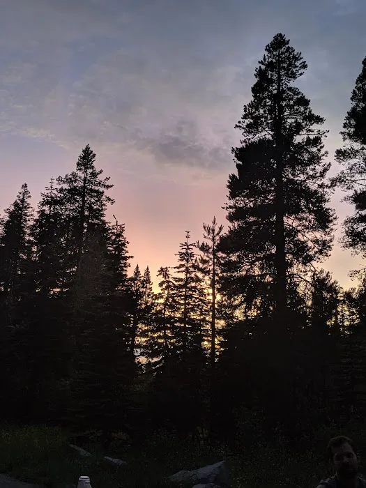Yuba Pass Campground 8