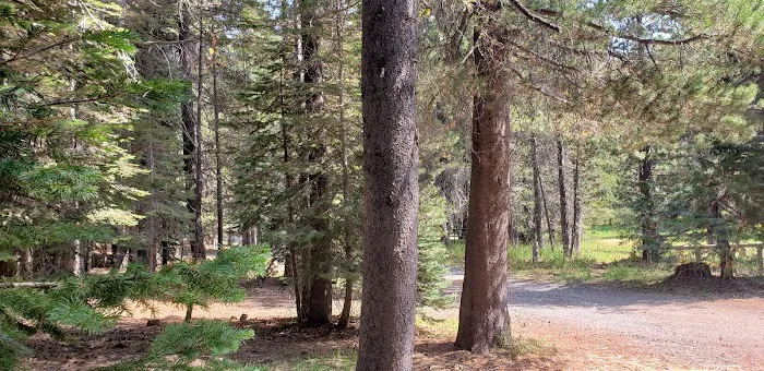 Little Laiser Meadow Horse Campground 6