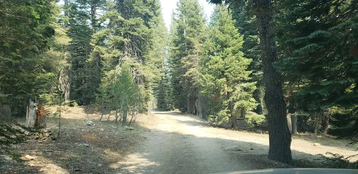 Little Laiser Meadow Horse Campground 2