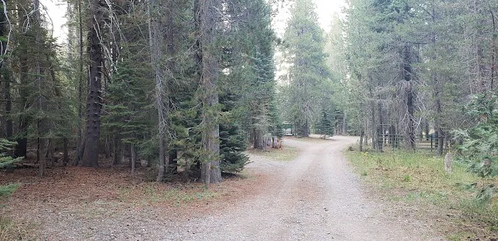 Little Laiser Meadow Horse Campground 1