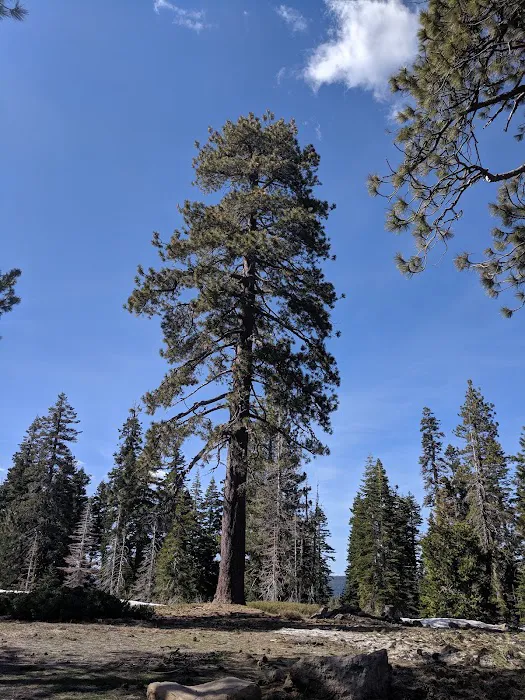 Lumberyard Picnic Area 6